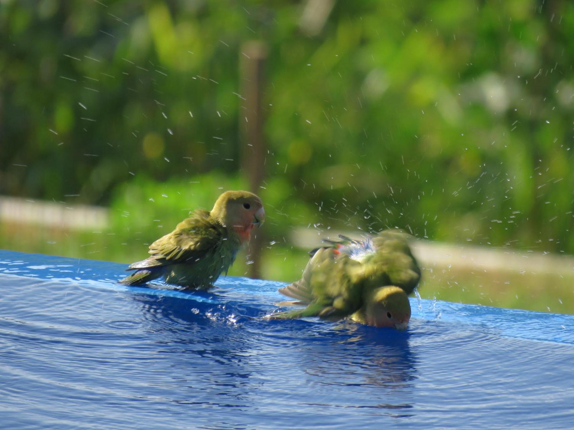 Villa Des Oiseaux Le Moule